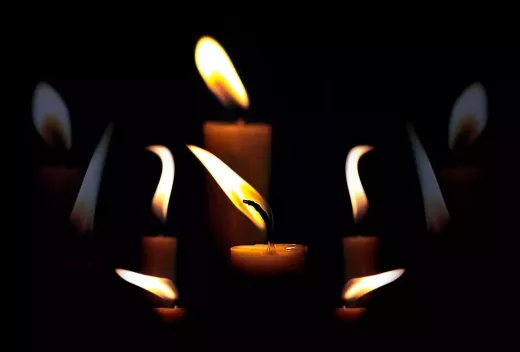 The History of the Rugby World Cup