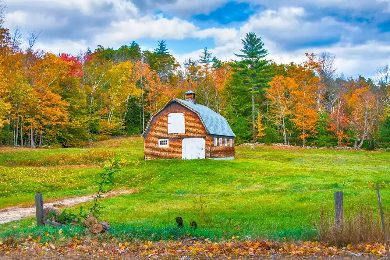 The Beautiful Madeira Island Flower Parade